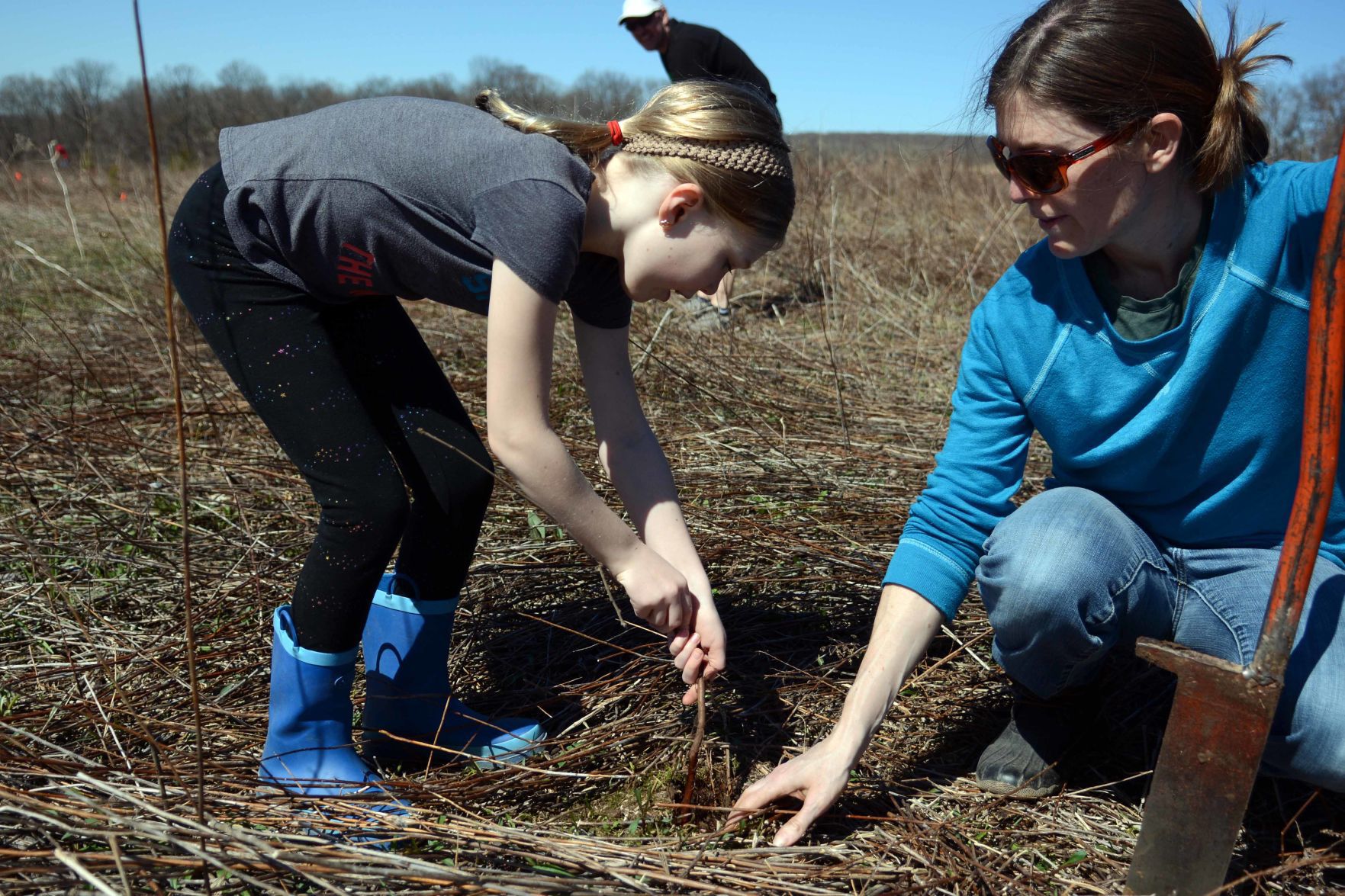 Earth Day tree planting in Baraboo Hills, April 20